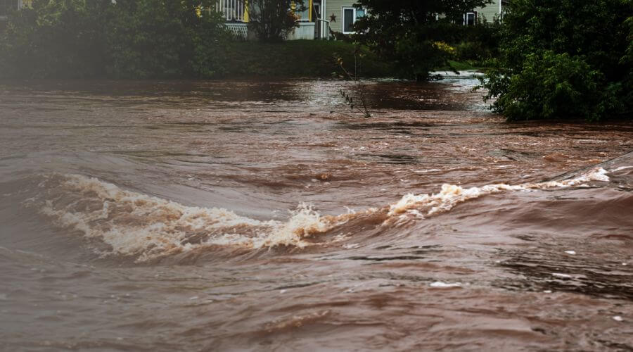 Why choose water damage cleanup for ceiling water damage repair in Livonia